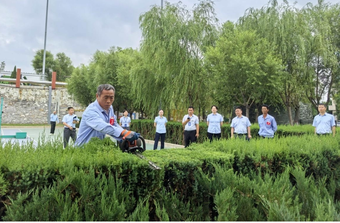 151755252655693482.jpg L2.jpg